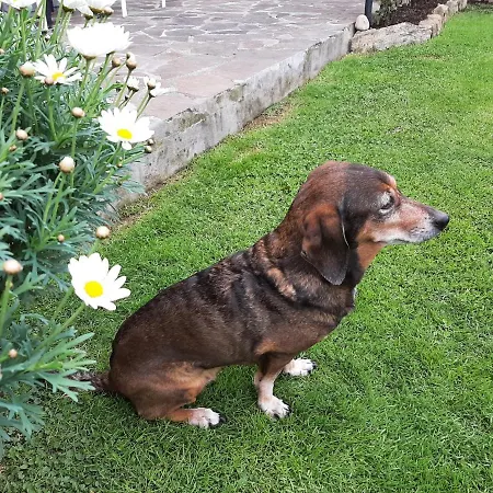 Bed & Breakfast La 3*