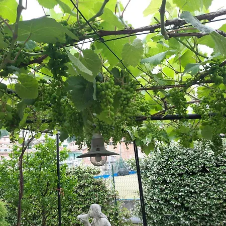 Oda ve Kahvaltı La
