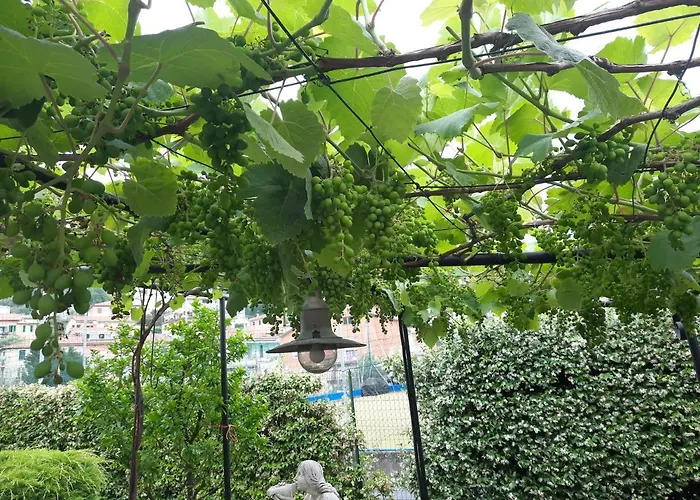 住宿加早餐酒店 La